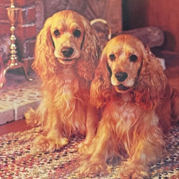 Welcome🍁🍁 - Picture 2 of 3